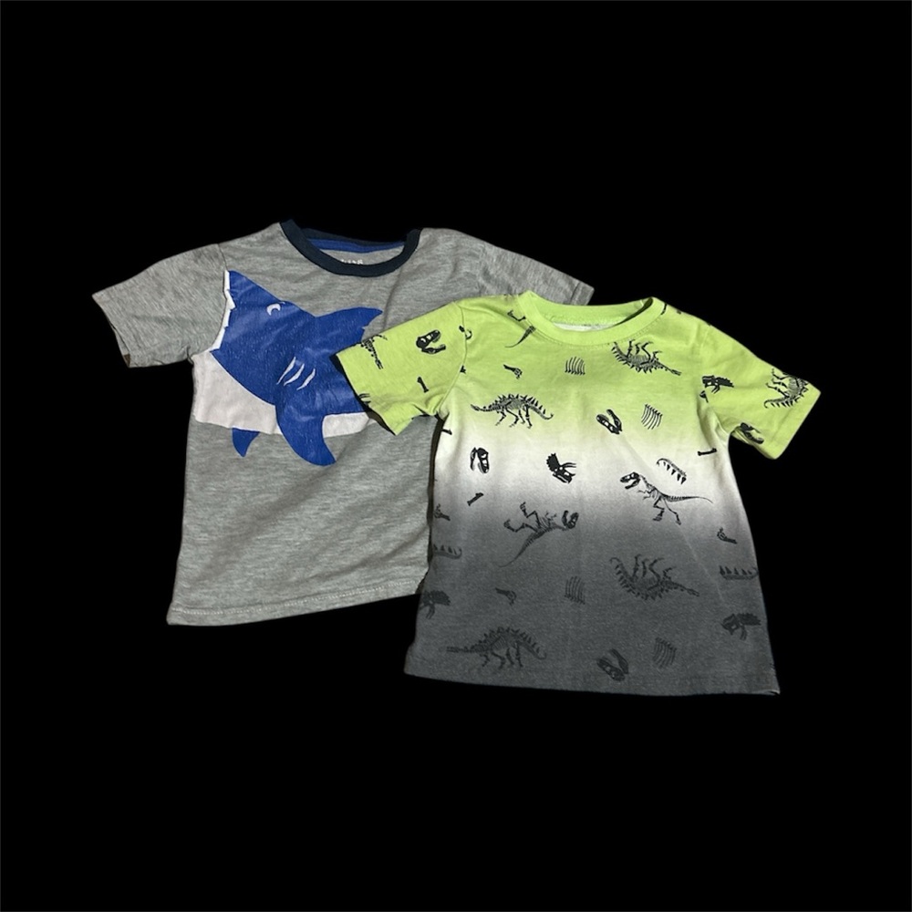 Kids Shark and Dinosaur T-Shirts - Gray and Green